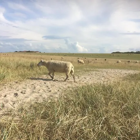 Harlequartier Im Wikingerhof Direkt An Der Harle
