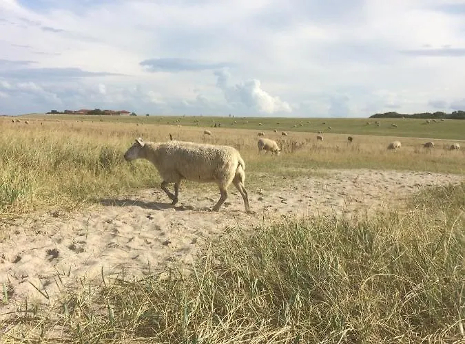 Harlequartier Im Wikingerhof Direkt An Der Harle